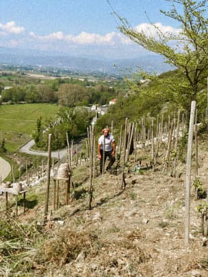 Le domaine lombard