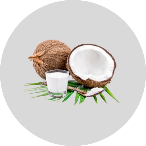 Lait de coco