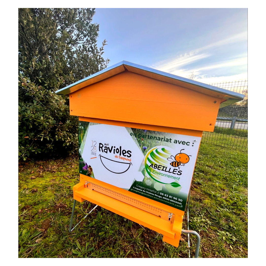 Abeilles environnement partenaire de Mes Ravioles